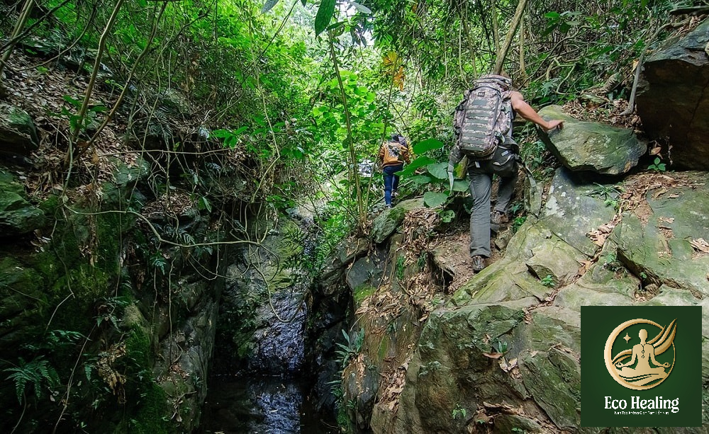 Trekking Việt Nam: Top 12 cung đường đẹp nhất cho người mới và dân chuyên
