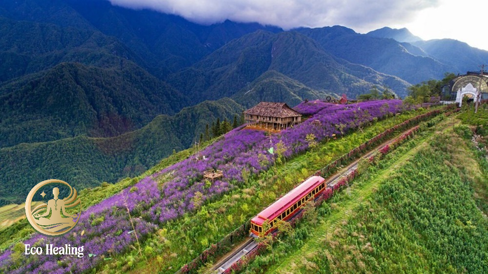 Thời tiết Sapa như thế nào? Du lịch Sapa mùa nào đẹp nhất để có trải nghiệm trọn vẹn?