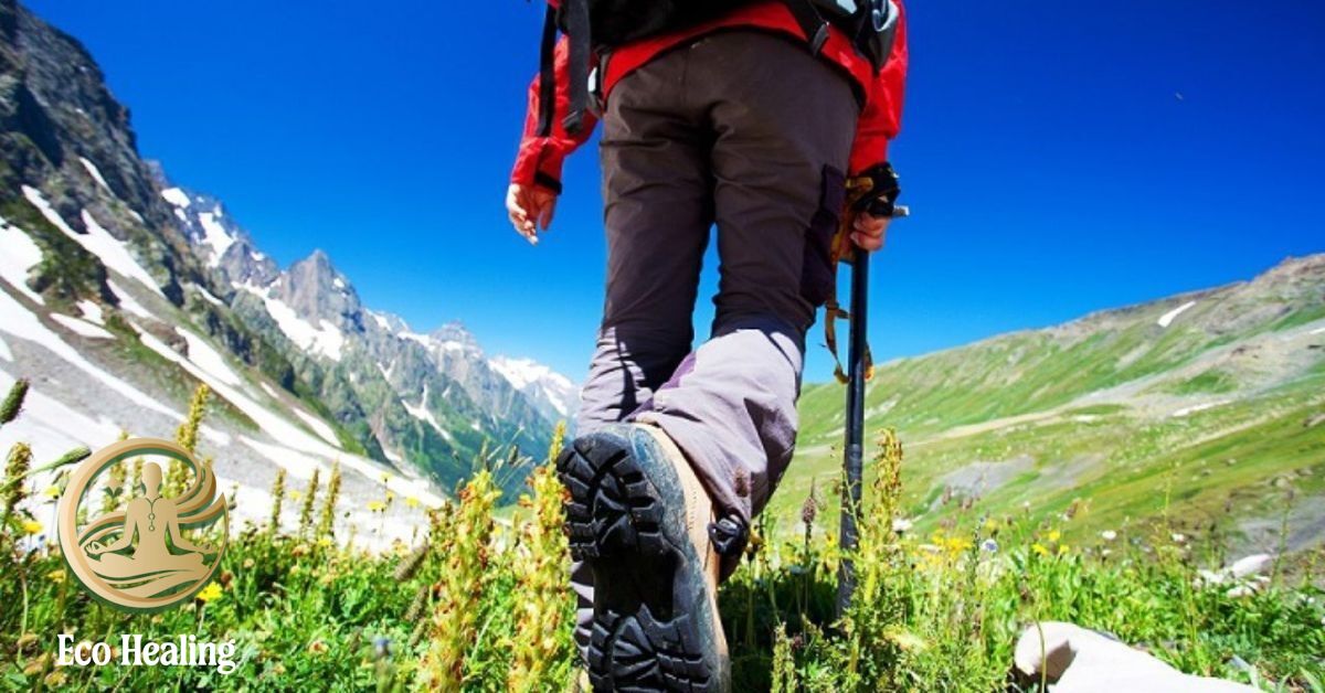 Eco Healing có gì khác biệt so với tour trekking truyền thống?