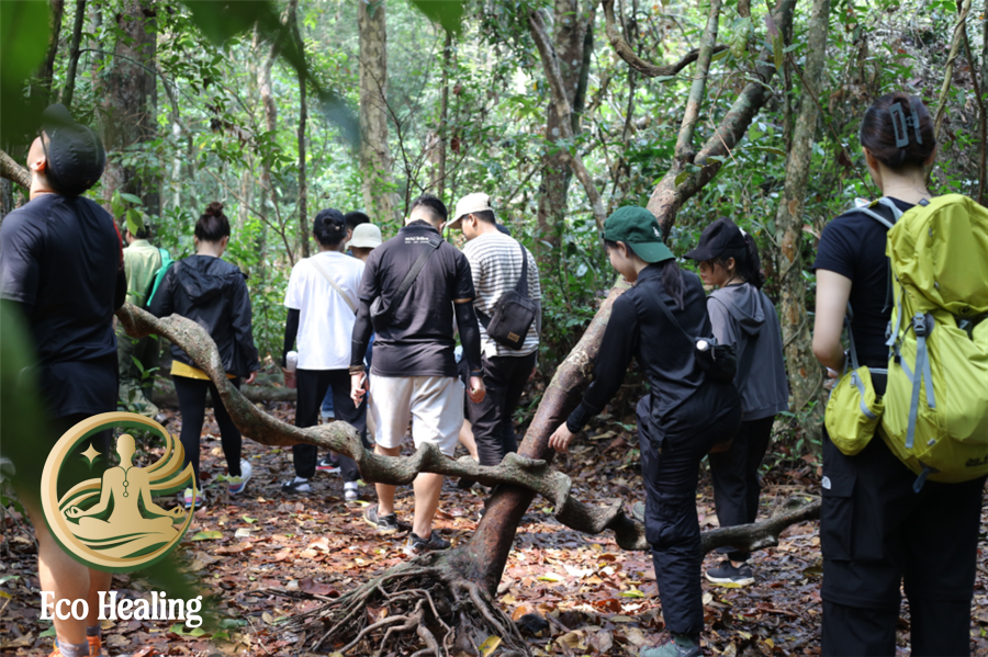 Kinh nghiệm trekking trong rừng: 10 kỹ năng sống còn ai cũng cần