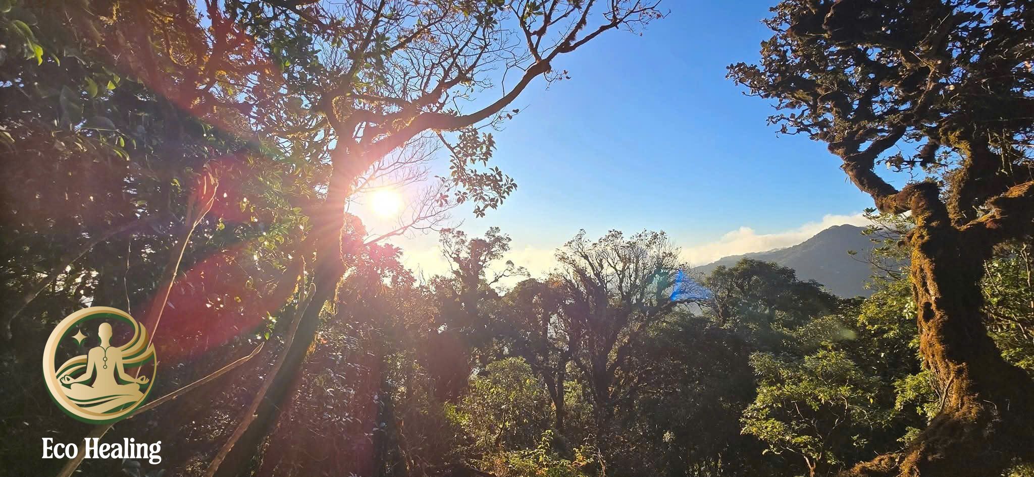 Lịch tour trekking hằng tuần tại Eco Healing