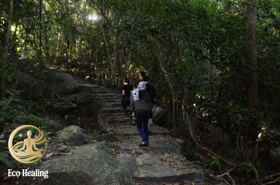 Lịch trình trekking 2N1Đ: Gợi ý đi nhanh – nhẹ – an toàn cho người mới