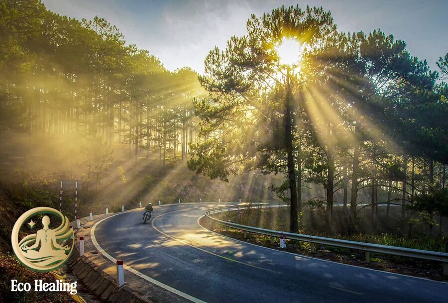 Top 10 điểm trekking đẹp nhất miền Bắc dành cho team thích thử thách