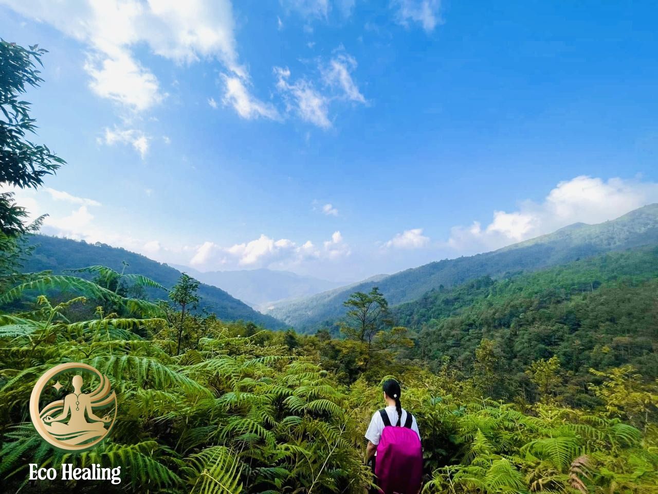 Tour healing dành cho người stress công việc