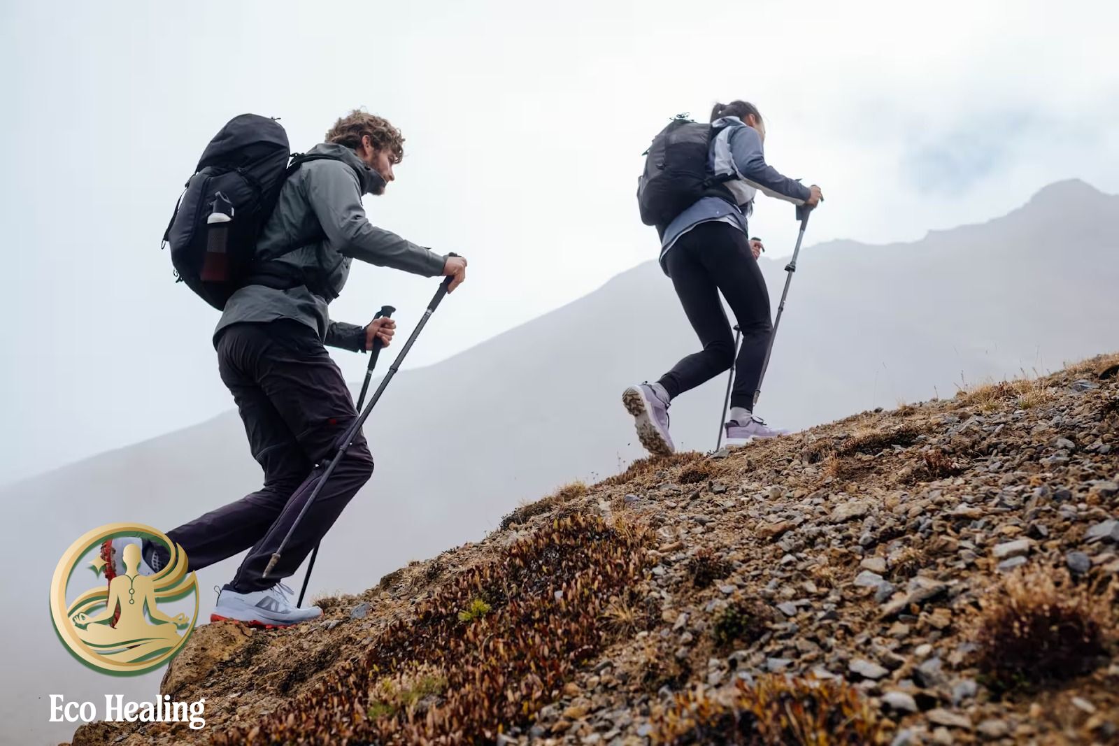 Tour healing dành cho người stress công việc