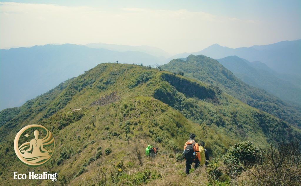 Tour trekking kết hợp workshop chữa lành