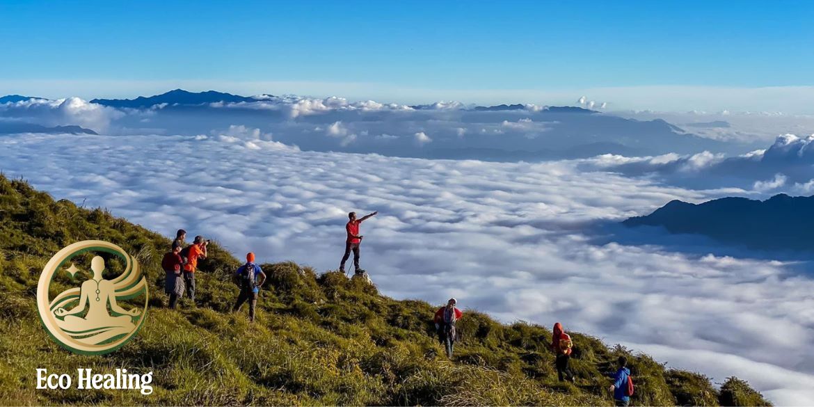 Tour trekking kết hợp workshop chữa lành
