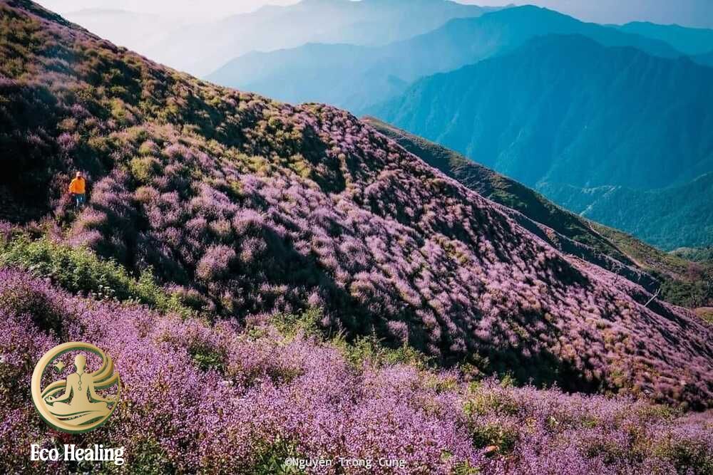 Tour trekking nhẹ nhàng phù hợp người mới