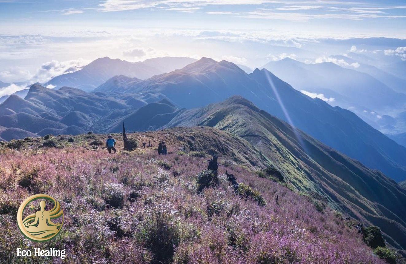Tour trekking riêng cho nhóm từ 4–10 người