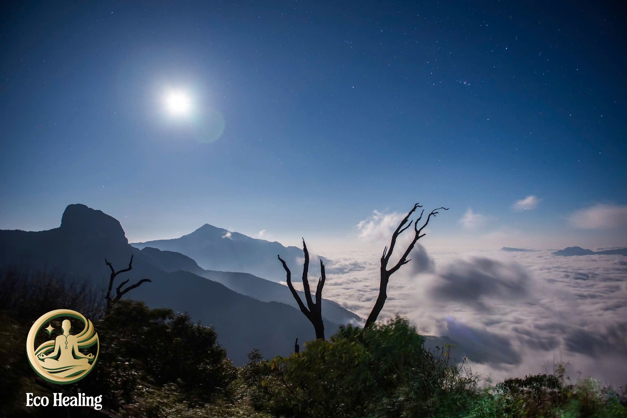 Trải nghiệm tour đi rừng tái tạo năng lượng