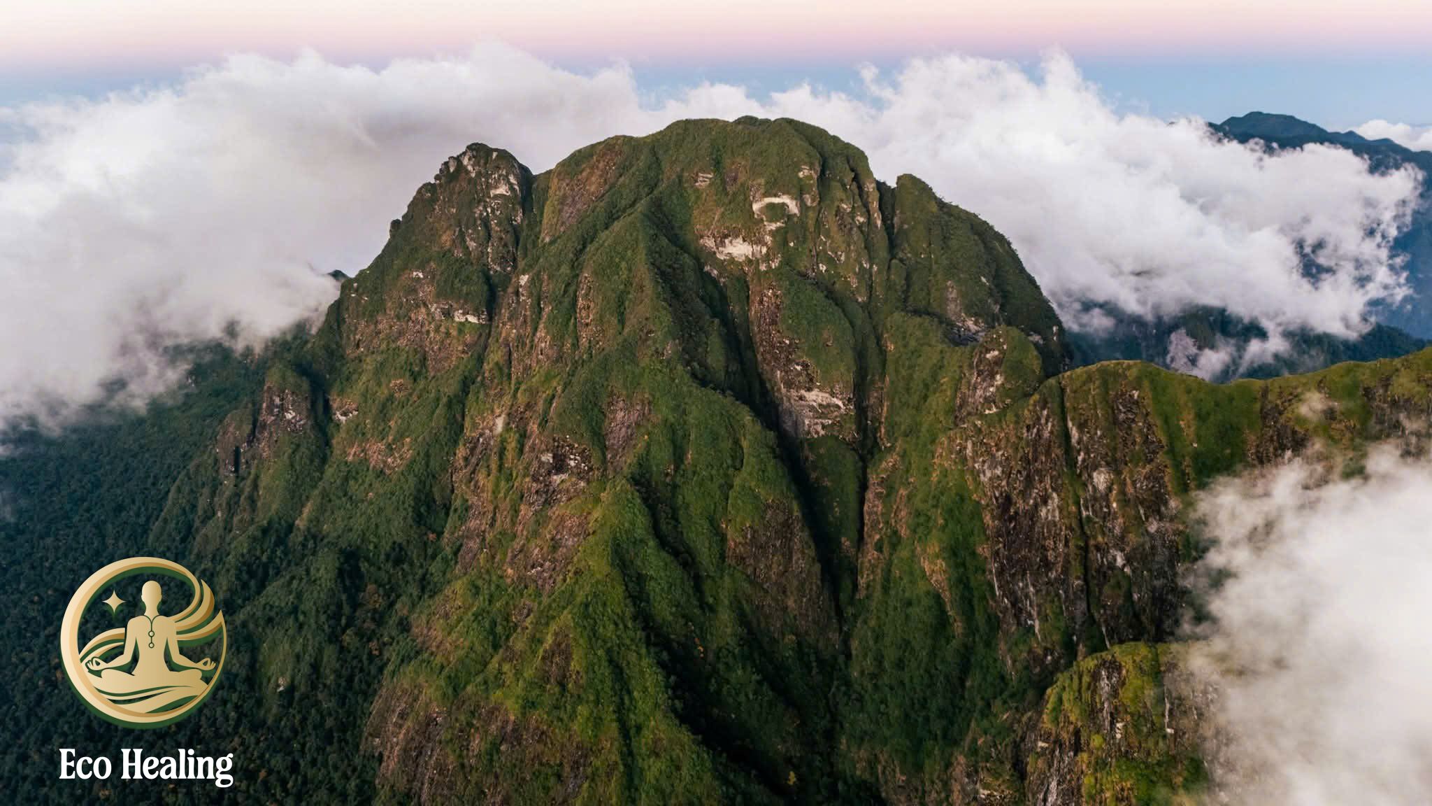 Trải nghiệm tour đi rừng tái tạo năng lượng