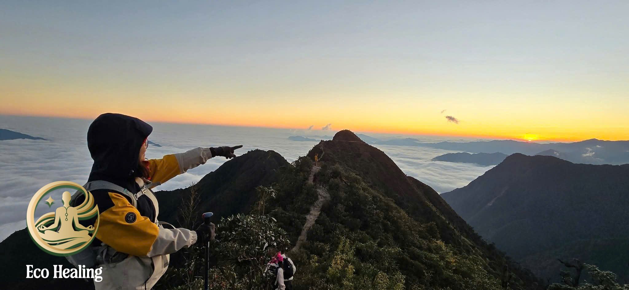 Trải nghiệm tour đi rừng tái tạo năng lượng