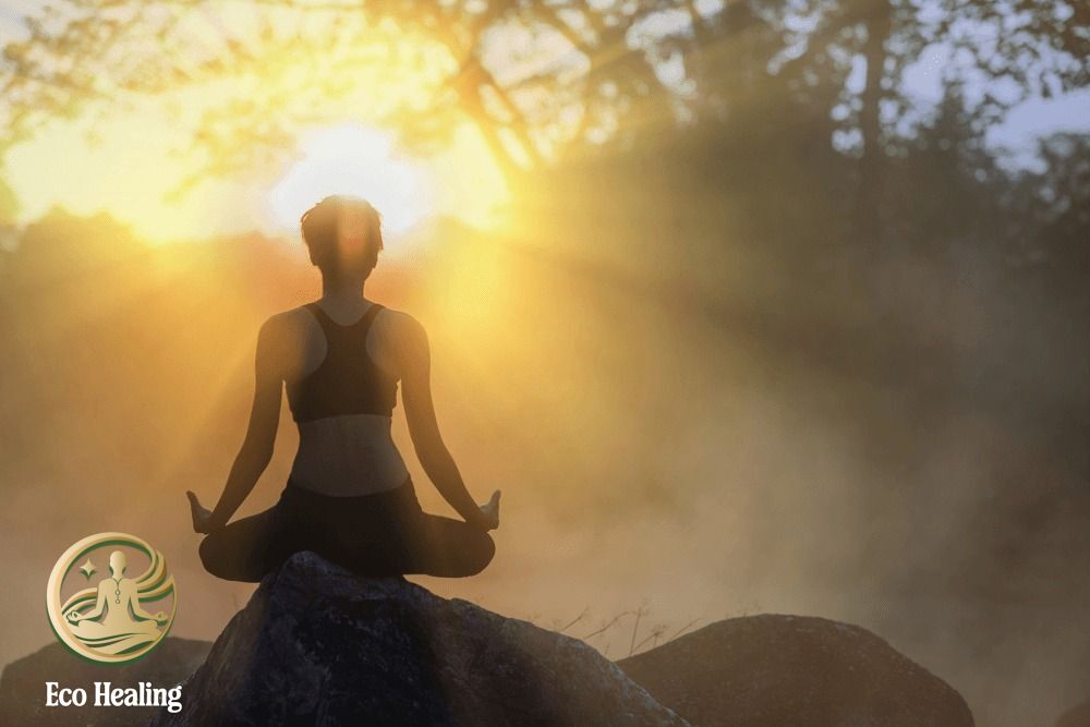 Chữa lành bằng thiên nhiên cùng Eco Healing