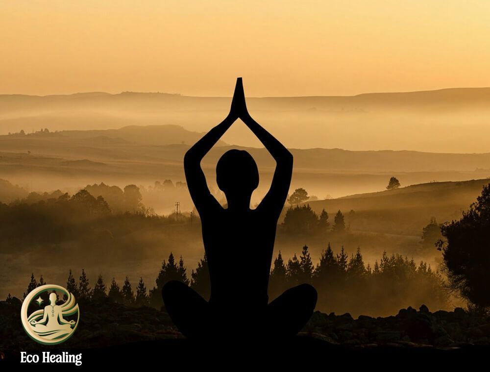 Chữa lành bằng thiên nhiên cùng Eco Healing