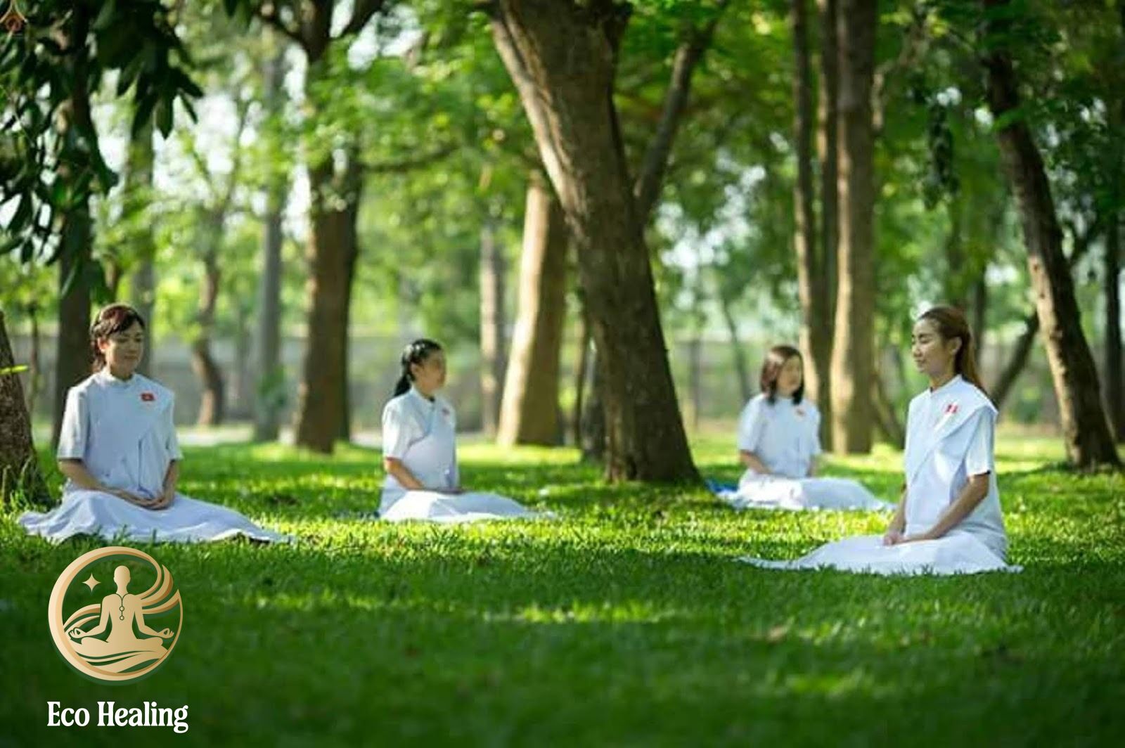 Chữa lành bằng thiên nhiên cùng Eco Healing