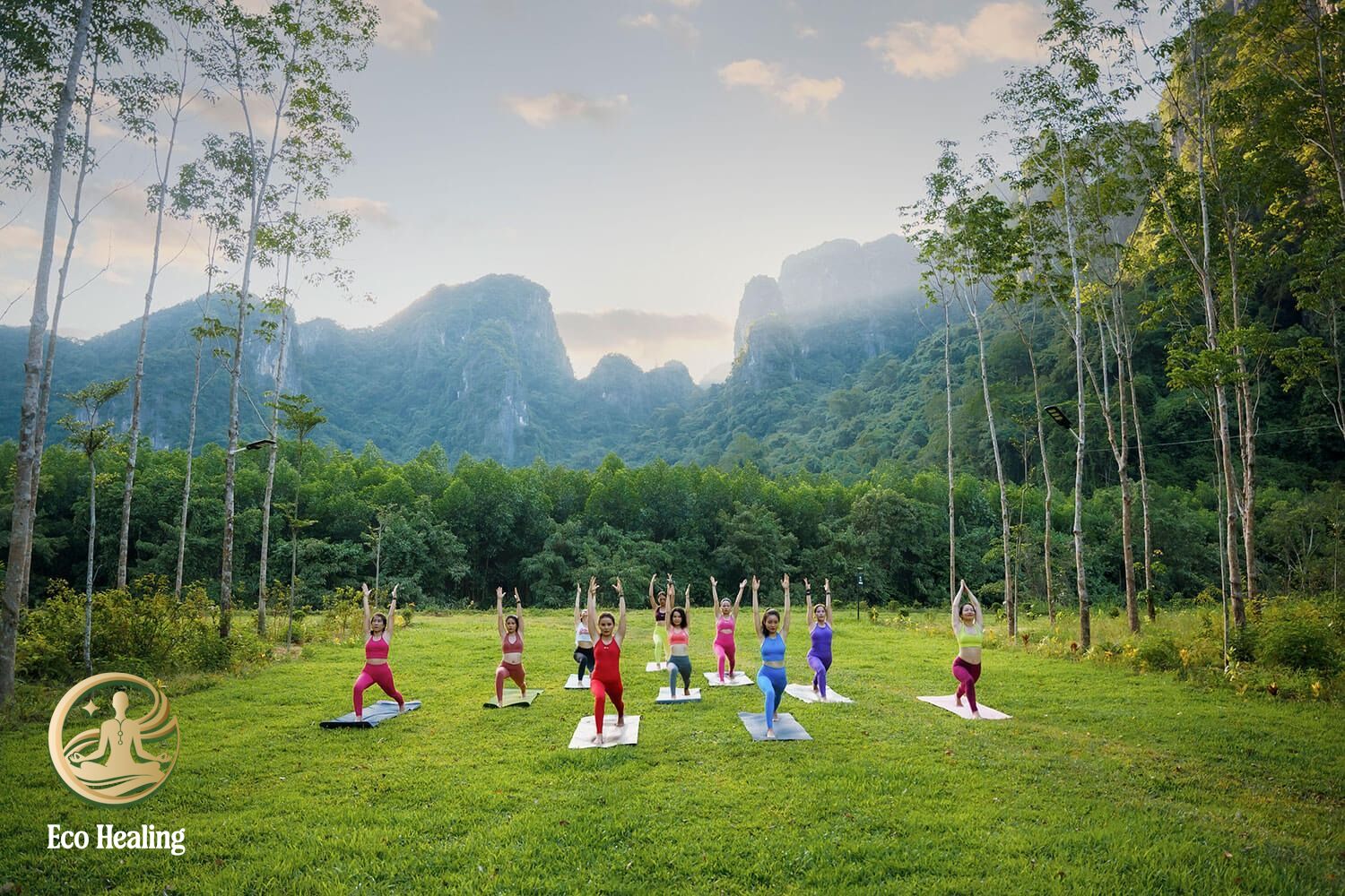 Eco Healing – đơn vị tiên phong tour chữa lành rừng