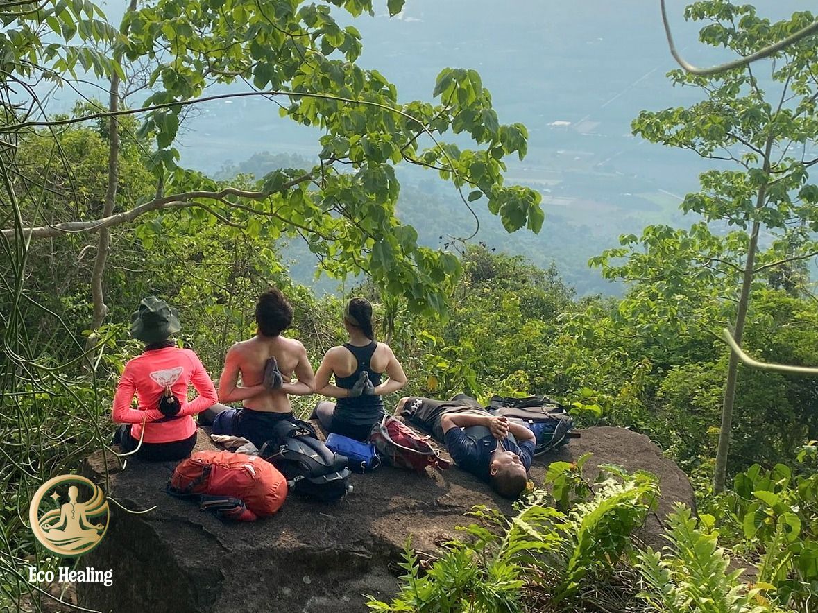 Eco Healing – đơn vị tiên phong tour chữa lành rừng
