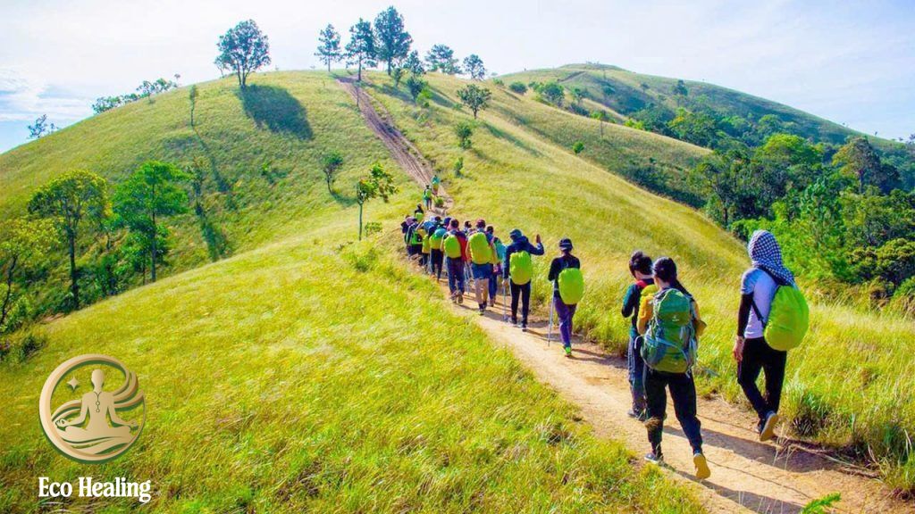 Review tour camping – trekking của Eco Healing