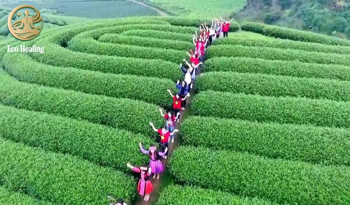 Tour trải nghiệm dành cho doanh nghiệp