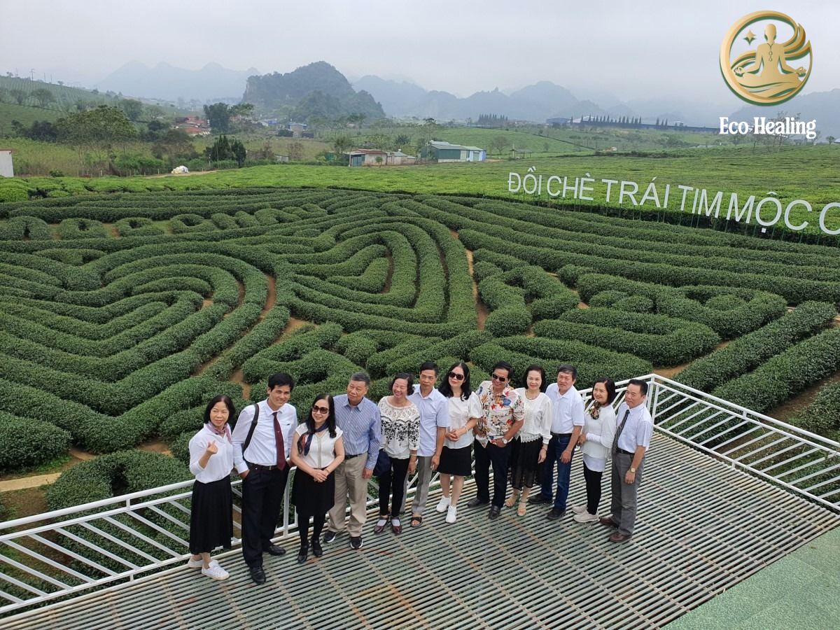 Tour trải nghiệm dành cho doanh nghiệp