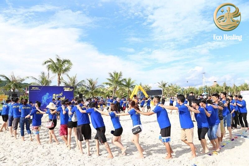 Tour trải nghiệm dành cho doanh nghiệp