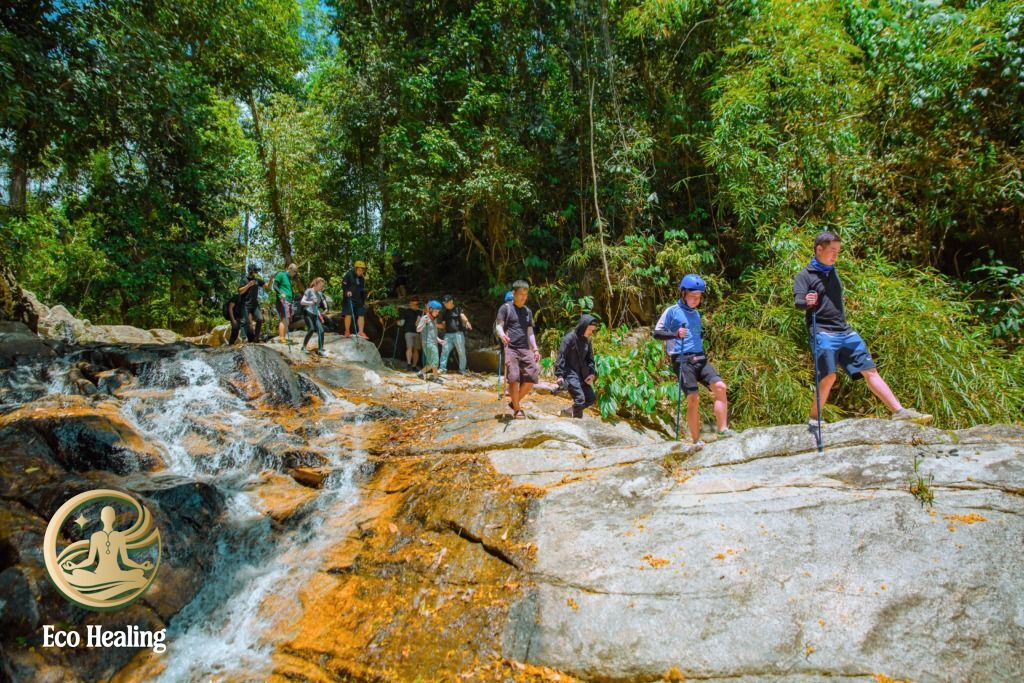 Tour trekking – healing 2N1Đ của Eco Healing