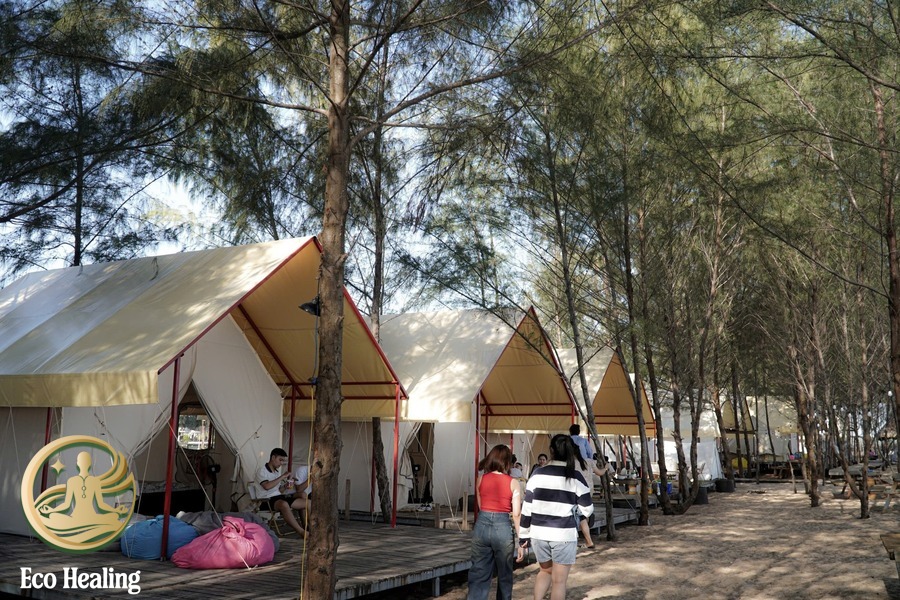 Tour trekking + retreat: Hành trình trở về thiên nhiên và nội tâm