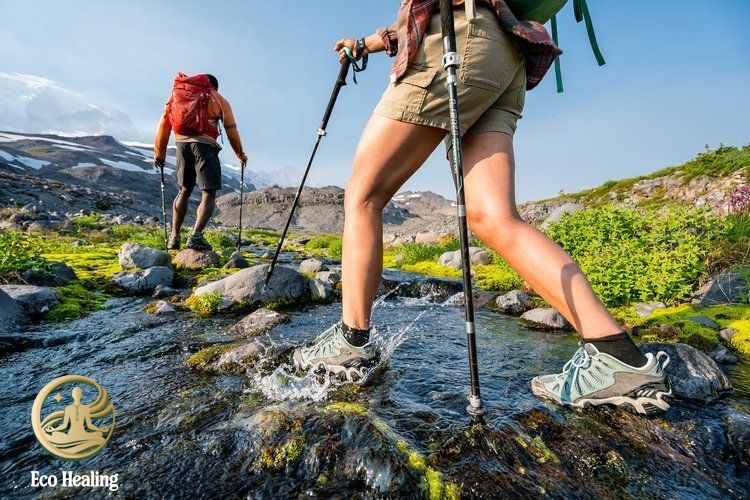 Eco Healing – Hành trình trở về bản thân