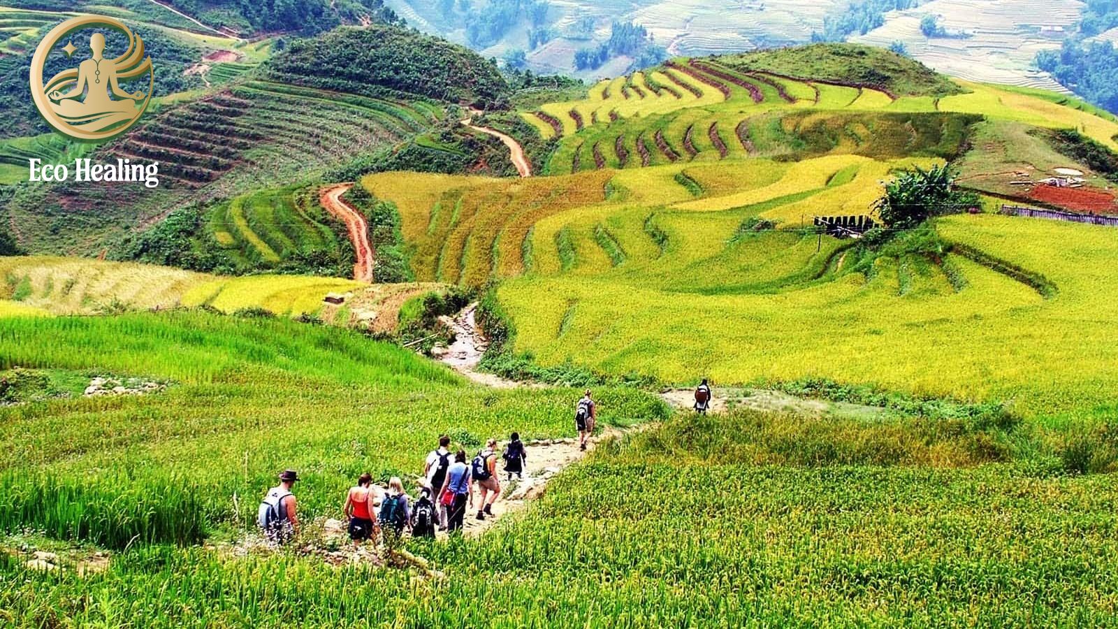Cẩm nang Trekking cho người mới bắt đầu: Lộ trình từ A-Z an toàn, dễ đi.