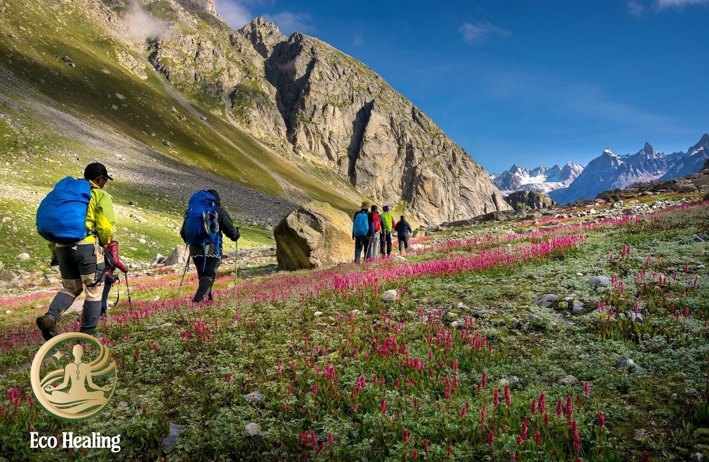 Hiking là gì? Phân biệt Hiking và Trekking chính xác nhất