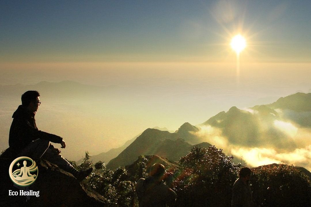 Top 5 cung đường Trekking cho người mới đẹp và dễ chinh phục nhất Việt Nam.