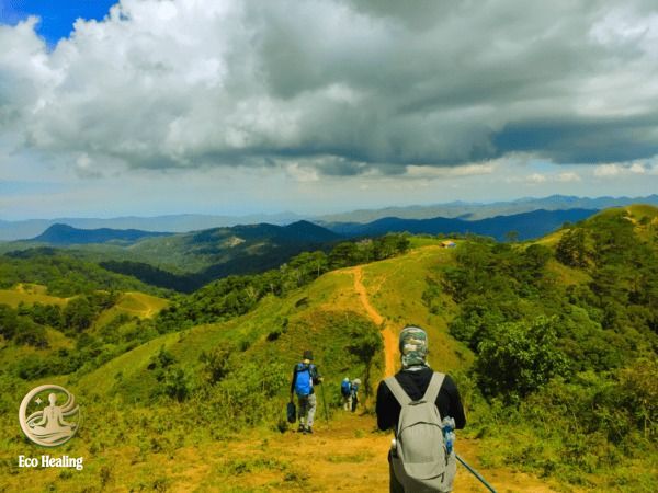 Top 5 cung đường Trekking cho người mới đẹp và dễ chinh phục nhất Việt Nam.