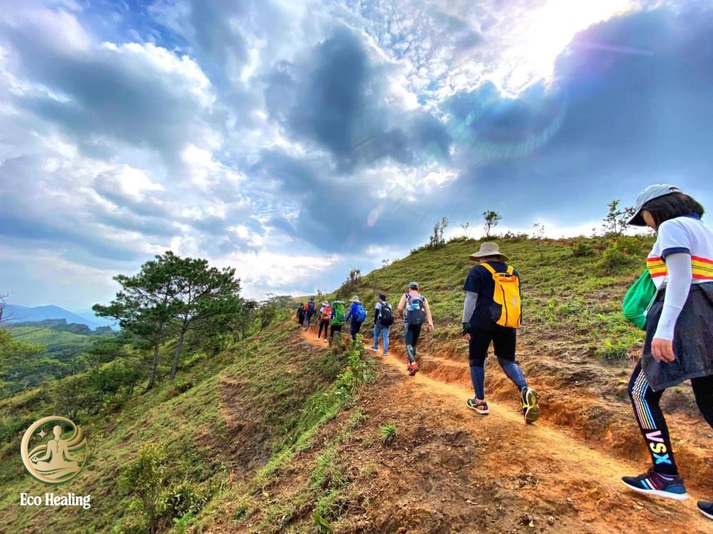 Top 5 cung đường Trekking cho người mới đẹp và dễ chinh phục nhất Việt Nam.