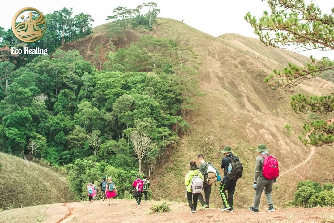 Top 5 cung đường Trekking cho người mới đẹp và dễ chinh phục nhất Việt Nam.