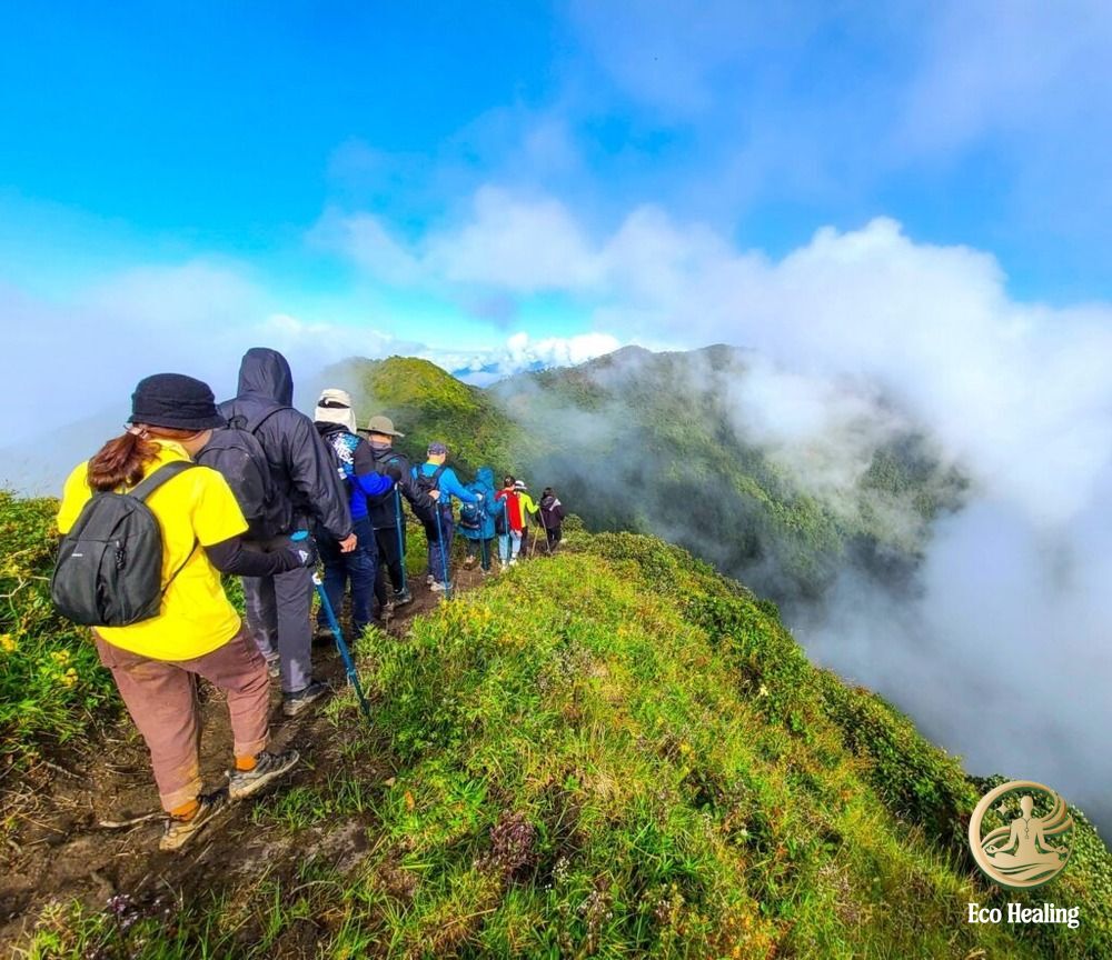 Chi phí Trekking Tà Chì Nhù tự túc vs Tour: Bảng tính chi tiết rẻ nhất.