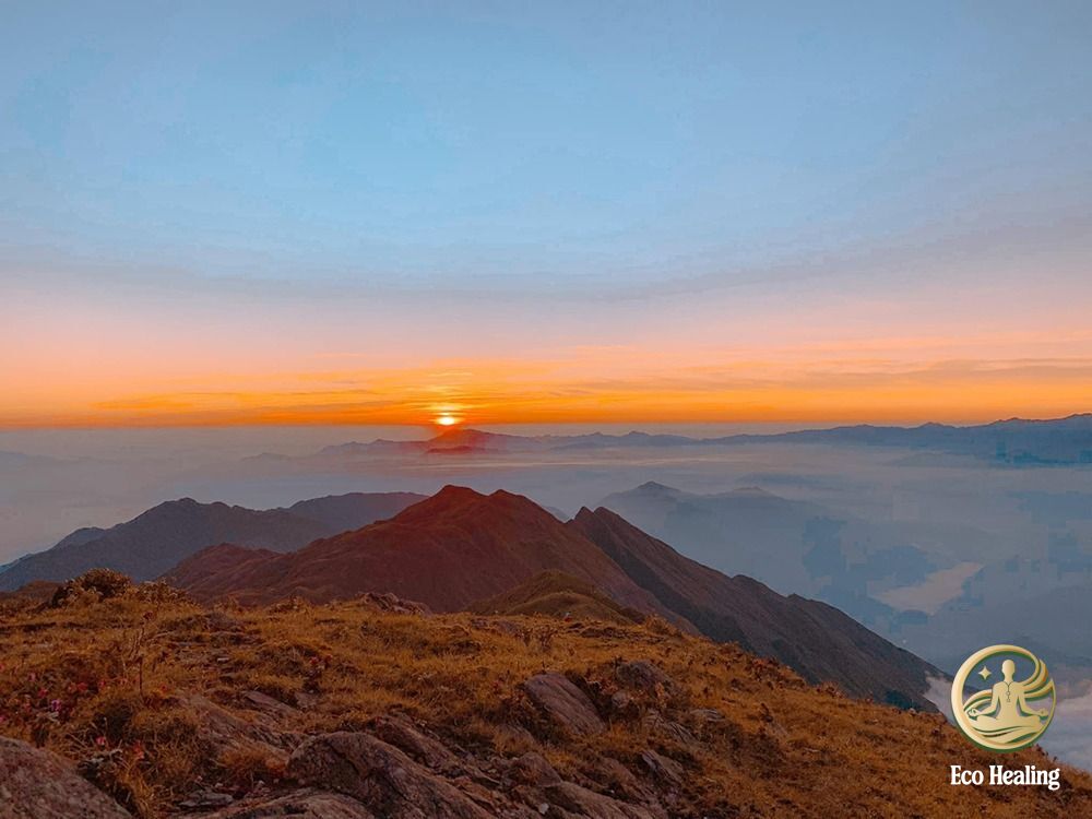 Chi phí Trekking Tà Chì Nhù tự túc vs Tour: Bảng tính chi tiết rẻ nhất.