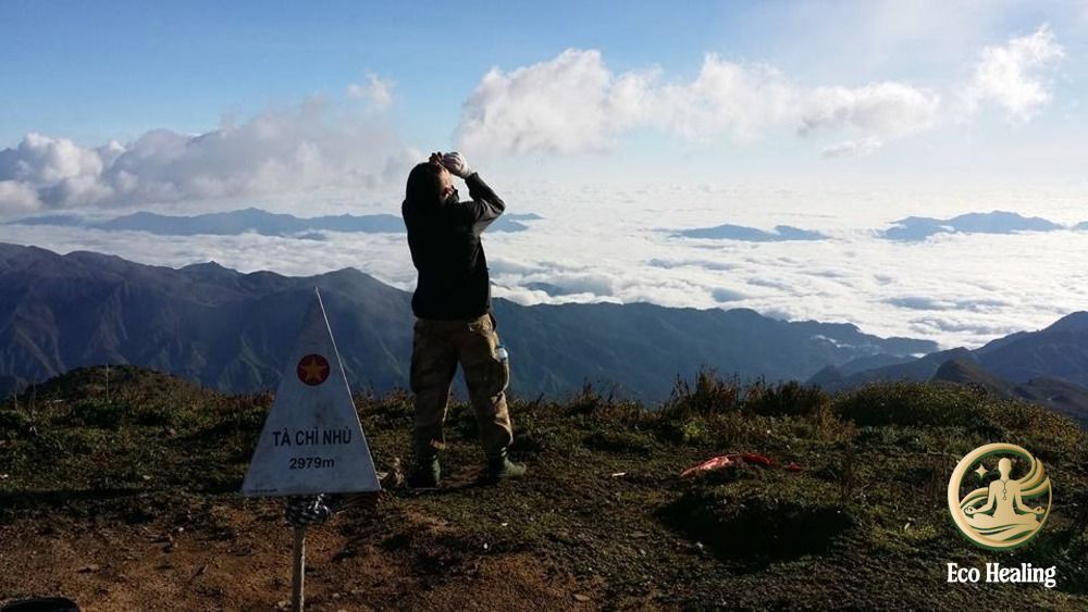 Chi phí Trekking Tà Chì Nhù tự túc vs Tour: Bảng tính chi tiết rẻ nhất.