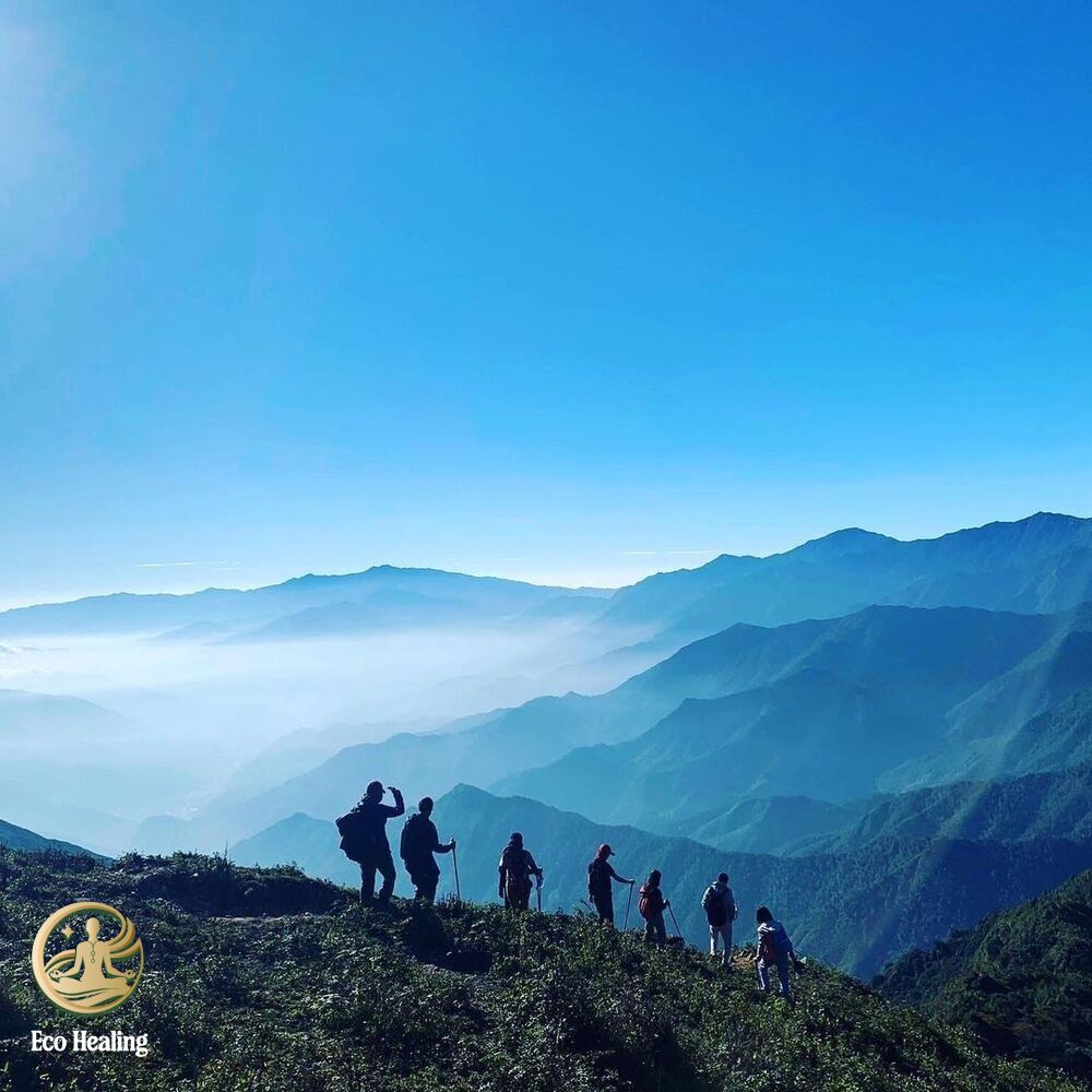 Chi phí Trekking Tà Chì Nhù tự túc vs Tour: Bảng tính chi tiết rẻ nhất.