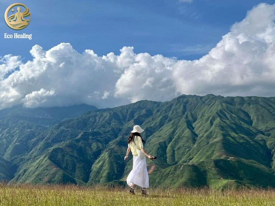 Lịch trình Trekking Tà Xùa 2 ngày 1 đêm: Ăn gì, ở đâu, check-in góc nào?