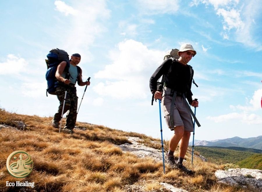 Review các Dụng cụ Trekking sinh tồn thiết yếu: Đèn pin, gậy leo núi, balo.