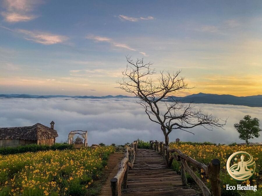 Tour săn mây – trekking nhẹ nhàng