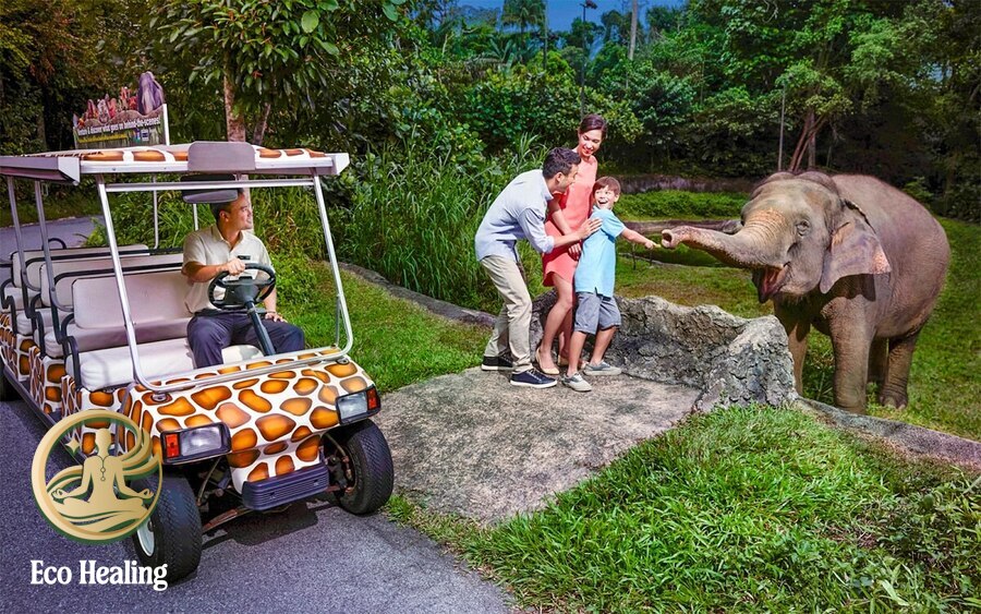 Tour trekking có trẻ em tham gia – Lịch trình phù hợp