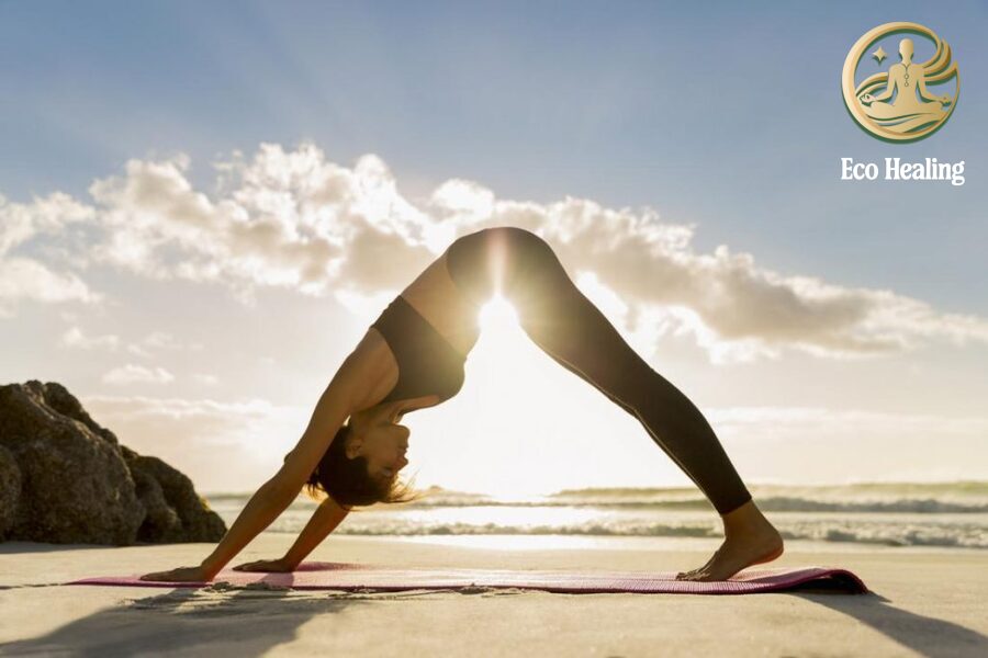 Tour yoga sáng bên hồ – Eco Healing