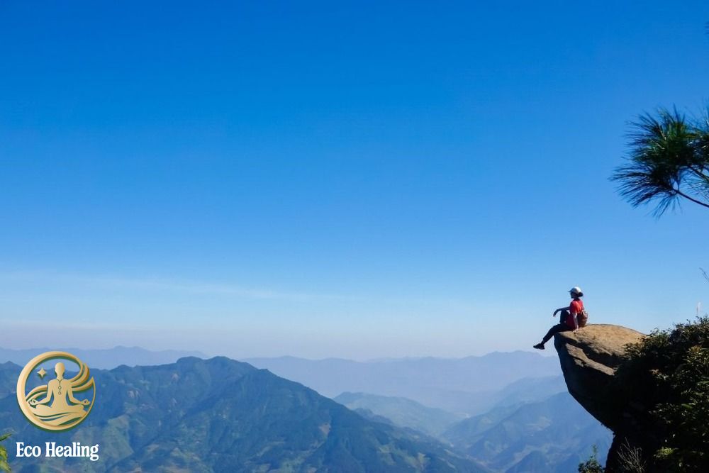 Trekking Tà Xùa: Hướng dẫn săn mây "Sống lưng khủng long" thành công 100%.