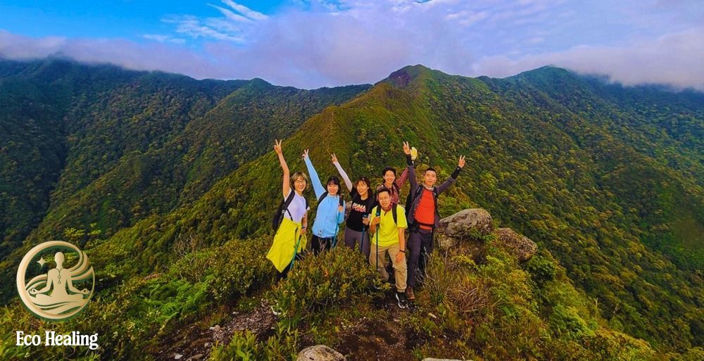 Trekking Tà Xùa: Hướng dẫn săn mây "Sống lưng khủng long" thành công 100%.