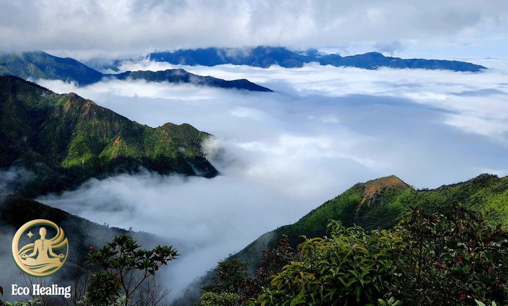 Trekking Tà Xùa: Hướng dẫn săn mây "Sống lưng khủng long" thành công 100%.