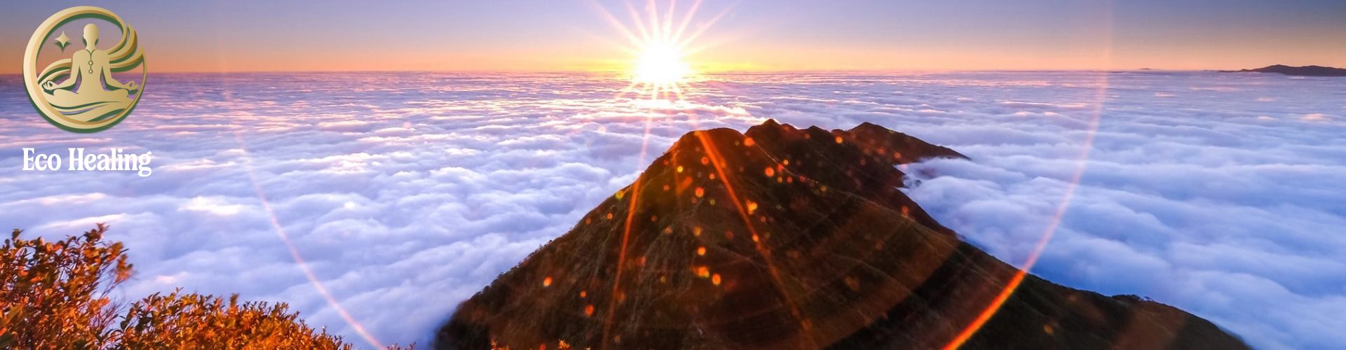 Chinh phục Trekking Lùng Cúng: Lạc vào đồi lau trắng và rừng cổ thụ đẹp mê hồn.