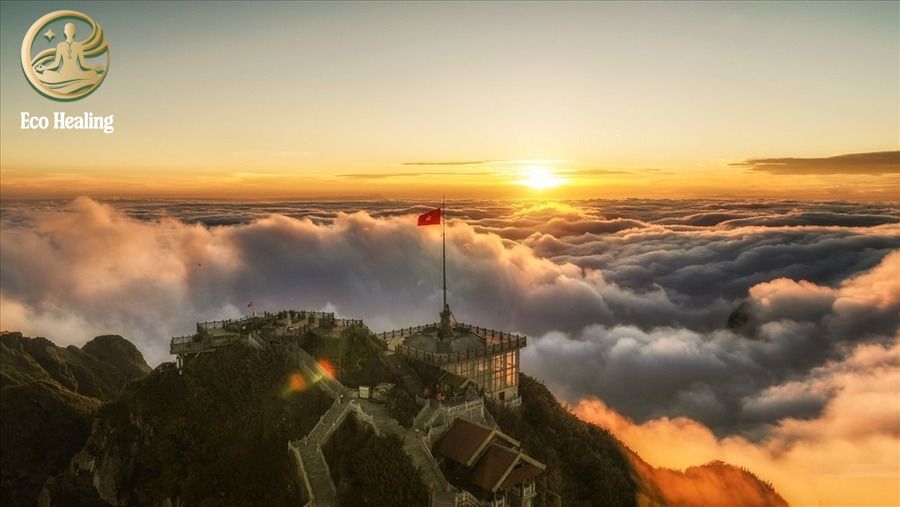 Fansipan Trekking: Hướng dẫn leo bộ chạm tay "Nóc nhà Đông Dương" không cần cáp treo.