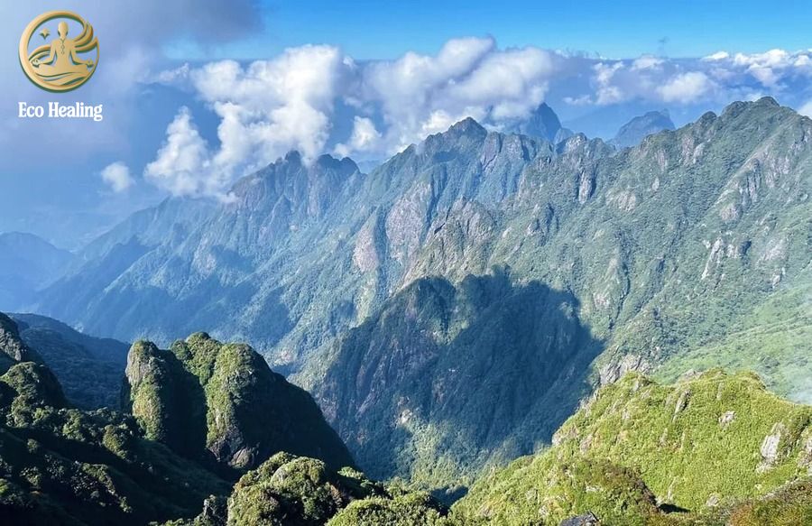 Fansipan Trekking: Hướng dẫn leo bộ chạm tay "Nóc nhà Đông Dương" không cần cáp treo.