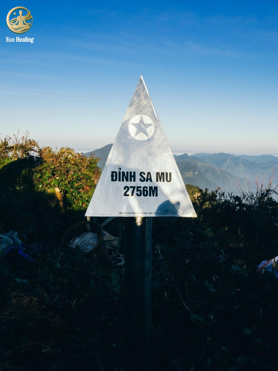 Trekking Samu - U Bò Khám phá khu rừng rêu ma mị đẹp như phim Chúa Nhẫn.